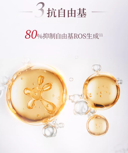 Forest Cabin Camellia Active Anti-Wrinkle Essence Lotion 2.0 200ml